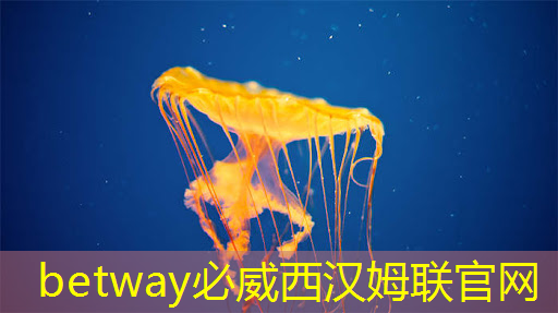 betway必威中国官方网站:5g智慧城市竖版 betway必威中国官方网站:5g智慧城市竖版