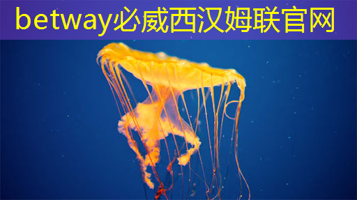 泉港普洛斯智能物流产业园在哪里 泉港普洛斯智能物流产业园在哪里