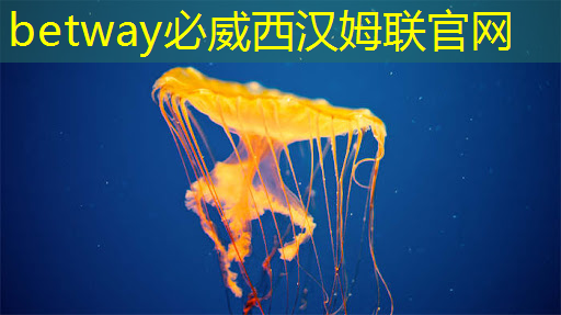 betway必威西汉姆联官网:手机视频边投影边观看?镜像投屏和同屏你更喜欢哪个? betway必威西汉姆联官网:手机视频边投影边观看?镜像投屏和同屏你更喜欢哪个?