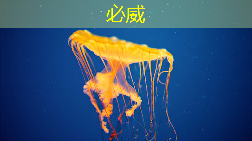 必威:当智慧遇上商业展示,智慧商显设备展现无限可能 必威:当智慧遇上商业展示,智慧商显设备展现无限可能