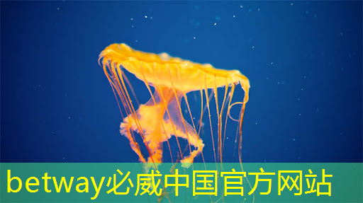 智慧城市与孪生学什么专业 智慧城市与孪生学什么专业