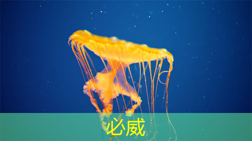 必威:青岛城阳京东智能物流园 高新区 必威:青岛城阳京东智能物流园 高新区