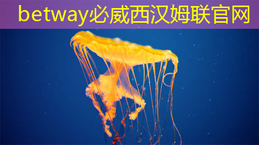 betway必威:数字中国如何应对芯片技术封锁所带来的算力挑战? betway必威:数字中国如何应对芯片技术封锁所带来的算力挑战?