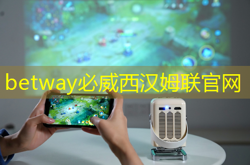 betway必威:可编程逻辑芯片:在智能产品开发中的重要性 betway必威:可编程逻辑芯片:在智能产品开发中的重要性