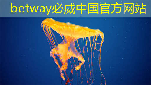 工业互联网导论 周海飞 工业互联网导论 周海飞