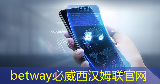 大智慧城市运营 大智慧城市运营