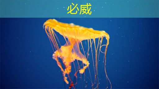 手机视频边投影边观看?镜像投屏和同屏你更喜欢哪个? 手机视频边投影边观看?镜像投屏和同屏你更喜欢哪个?