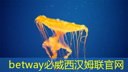 当智慧遇上商业展示,智慧商显设备展现无限可能 当智慧遇上商业展示,智慧商显设备展现无限可能