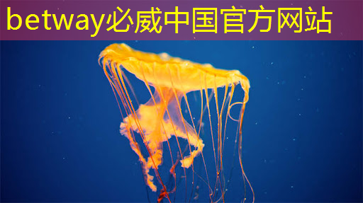福州华为智慧城市 福州华为智慧城市
