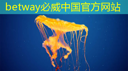 能源数字沙盘 能源数字沙盘
