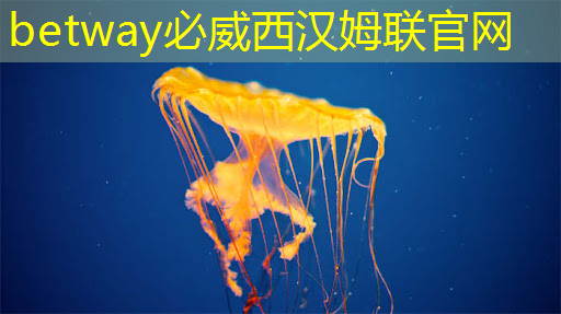 创新科技驱动商界变革,智慧商显展为您提供商业成就的新路径! 创新科技驱动商界变革,智慧商显展为您提供商业成就的新路径!