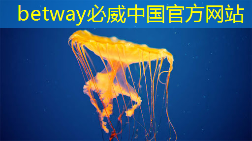 纵观市场风云,360智慧商显独树一帜! 纵观市场风云,360智慧商显独树一帜!