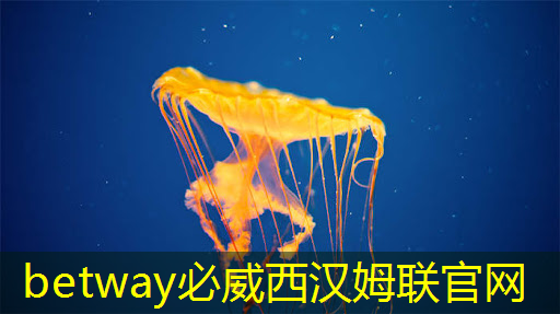 智能商显助力企业抢占细分市场先机! 智能商显助力企业抢占细分市场先机!