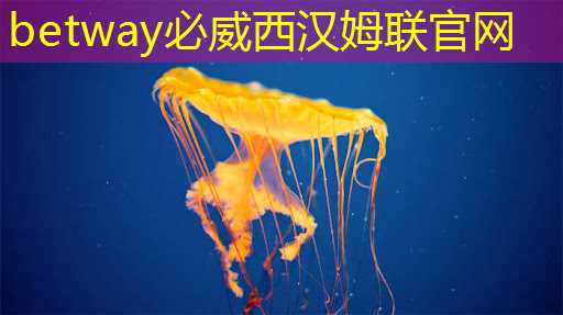 投屏与同屏之争:你更倾向于哪一种方式? 投屏与同屏之争:你更倾向于哪一种方式?