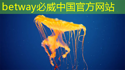 商显智慧屏评测细析:改变商业展示游戏规则之举 商显智慧屏评测细析:改变商业展示游戏规则之举