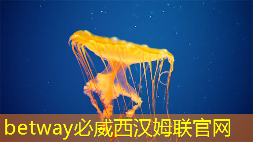 新型雷达芯片提高车辆安全性和自主性-芯片26262功能安全产品认证 新型雷达芯片提高车辆安全性和自主性-芯片26262功能安全产品认证