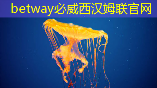 京东骁龙专列开启:“芯片+渠道”将成为手机营销新趋势 京东骁龙专列开启:“芯片+渠道”将成为手机营销新趋势