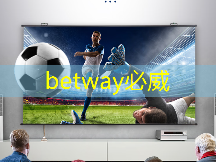 极戈的合作伙伴们——芯片设计平台的生态圈 极戈的合作伙伴们——芯片设计平台的生态圈
