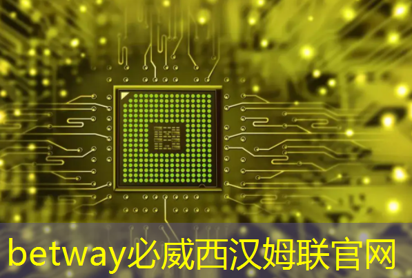 紫光同芯:做业界领先的安全芯片及解决方案供应商 紫光同芯:做业界领先的安全芯片及解决方案供应商