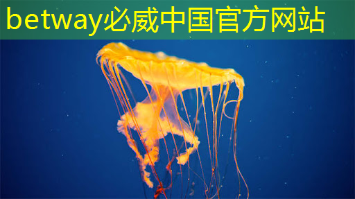 SAECEE 2023 “汽车芯片技术创新与产业发展”论坛成功举办 SAECEE 2023 “汽车芯片技术创新与产业发展”论坛成功举办