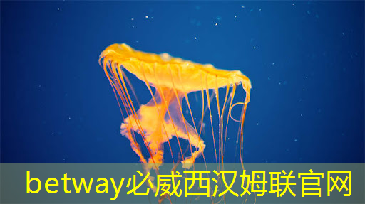 车规芯片专场 车规芯片专场