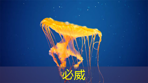 芯片IC测试专栏 芯片IC测试专栏