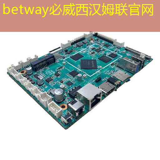 共创实例丨打造半导体产业生态助国产芯片龙头企业雄起 共创实例丨打造半导体产业生态助国产芯片龙头企业雄起