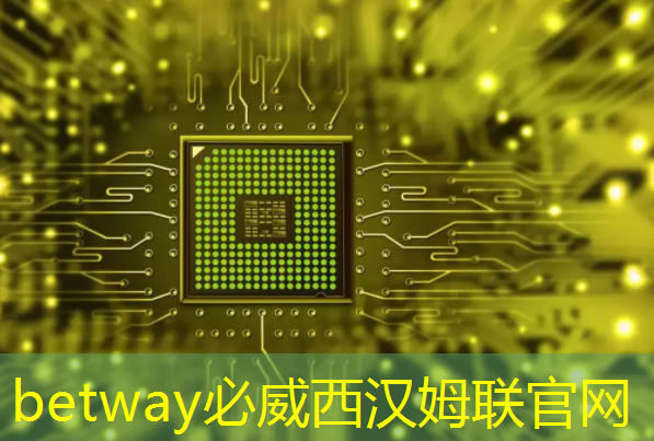 云途半导体:提升汽车芯片供应链安全,拥抱China for China新格局 云途半导体:提升汽车芯片供应链安全,拥抱China for China新格局