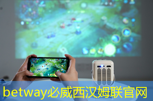 【晶晨股份(688099.SH)】全球智能终端SoC芯片龙头的崛起——投资价值分析报告(刘凯) 【晶晨股份(688099.SH)】全球智能终端SoC芯片龙头的崛起——投资价值分析报告(刘凯)