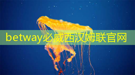 AI算力芯片反击 AI算力芯片反击