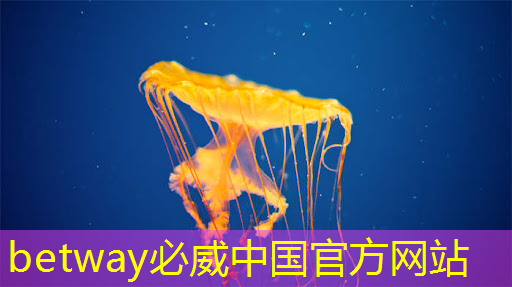 “两江智造”火!国内首款搭载国产AI芯片的智能汽车开启预售 “两江智造”火!国内首款搭载国产AI芯片的智能汽车开启预售