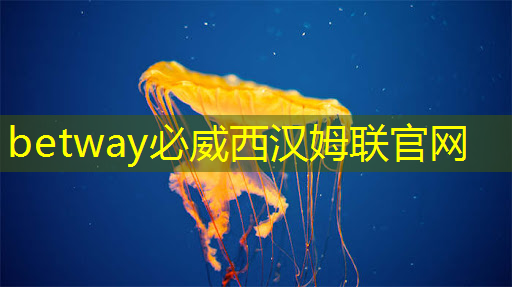 太难了!英伟达GB200超级芯片 性能是华为昇腾的300倍! 太难了!英伟达GB200超级芯片 性能是华为昇腾的300倍!