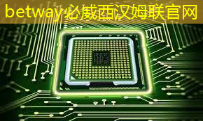 存储芯片行业复苏:全球市场预期增长超40%,中国存储芯片迎来新机会 存储芯片行业复苏:全球市场预期增长超40%,中国存储芯片迎来新机会