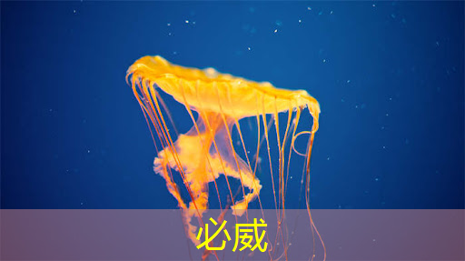 AI智能芯片:探索算法与数字IC设计的奥秘! AI智能芯片:探索算法与数字IC设计的奥秘!