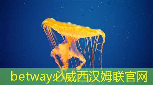 上海重拳出击!撑起了中国芯片的半边天 上海重拳出击!撑起了中国芯片的半边天