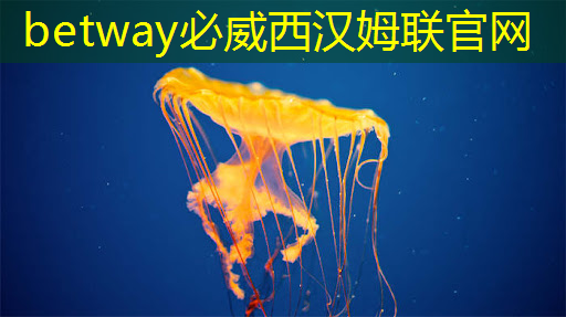 晶圆级AI芯片WSE 晶圆级AI芯片WSE